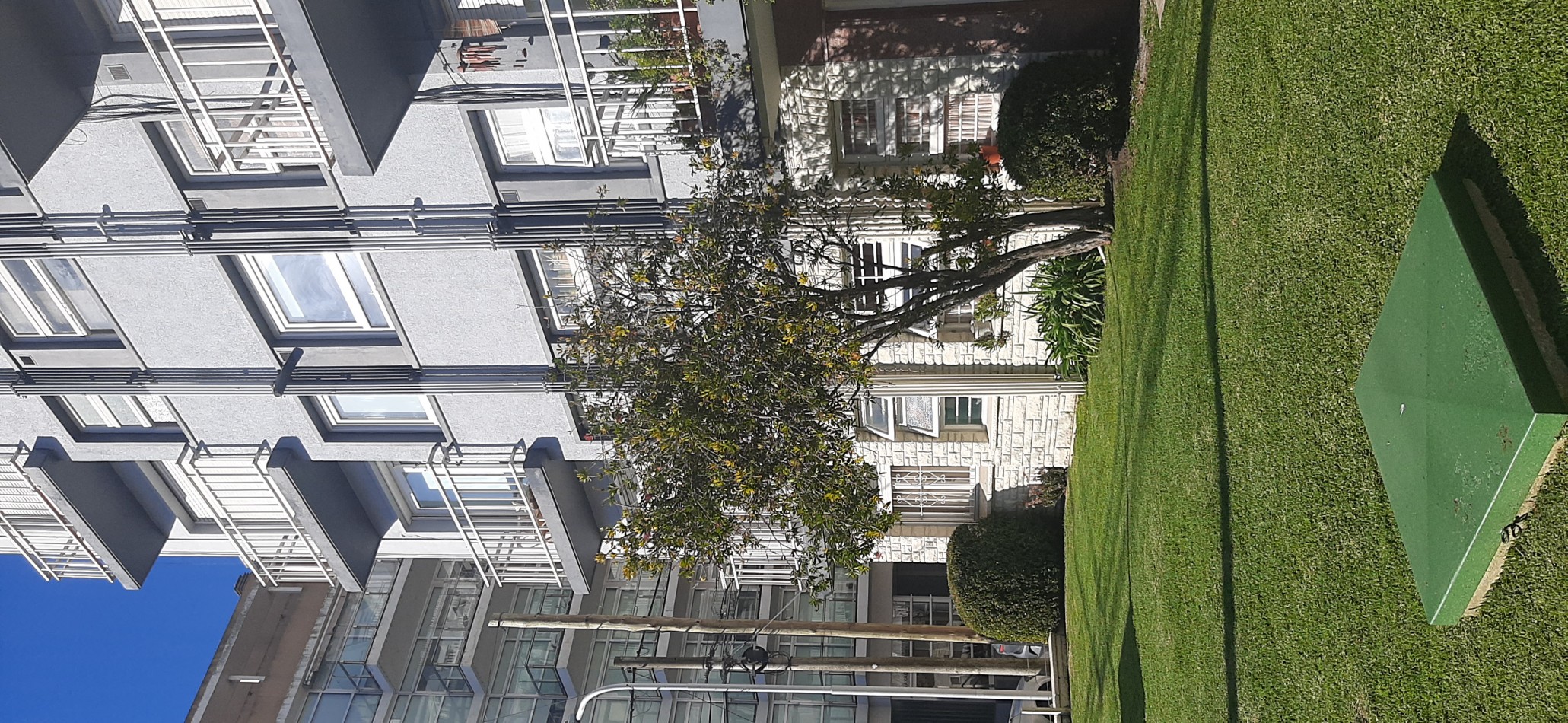 alquiler 24 meses zona playa grande